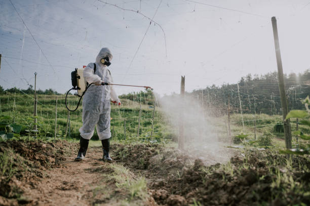 Best Mosquito Control Services  in Spry, PA