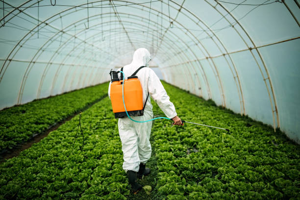 Professional Pest Control in Spry, PA