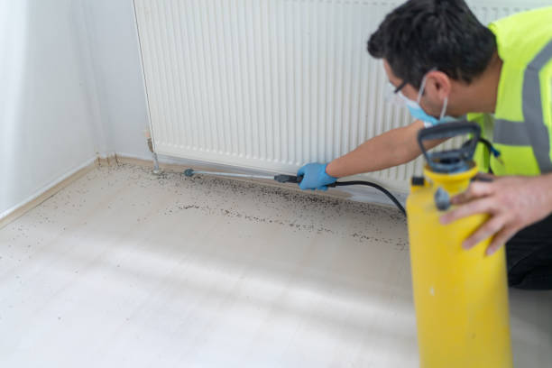 Best Emergency Pest Control  in Spry, PA